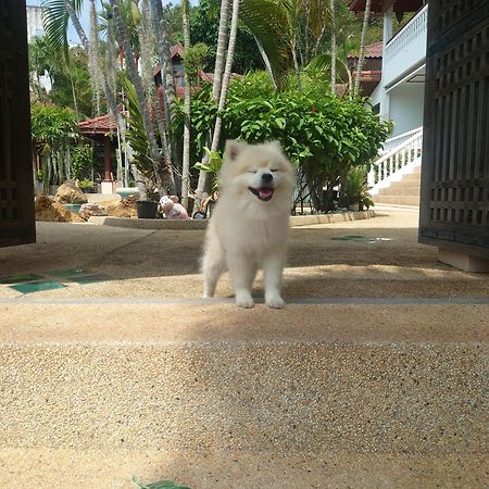Samui Little Garden Resort Chaweng  Exterior photo